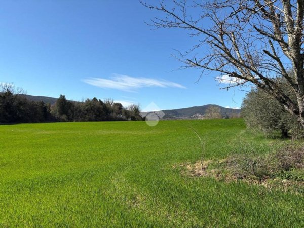 terreno agricolo in vendita ad Amelia