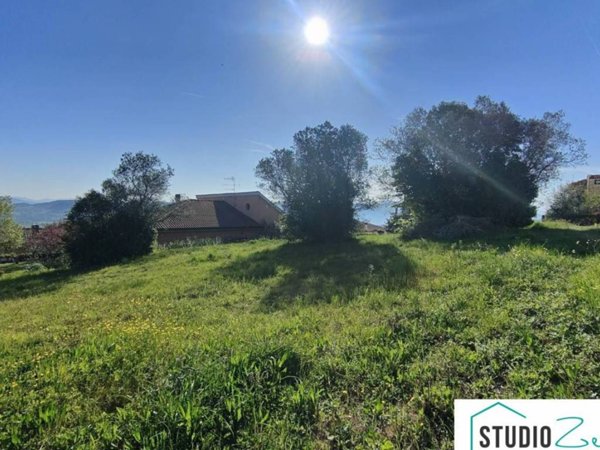 terreno agricolo in vendita ad Amelia