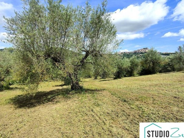 terreno agricolo in vendita ad Amelia