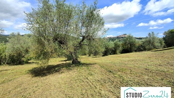 terreno agricolo in vendita ad Amelia