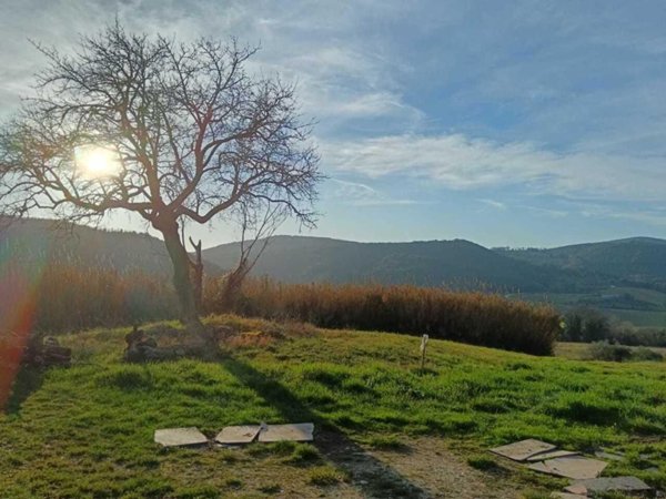 terreno agricolo in vendita ad Amelia