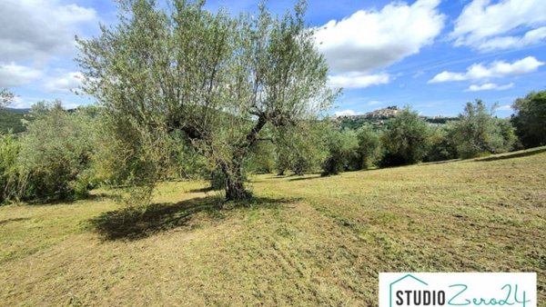 terreno agricolo in vendita ad Amelia