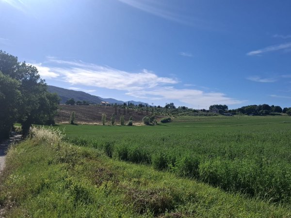 terreno agricolo in vendita ad Amelia