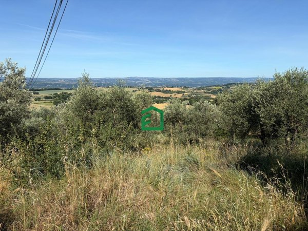 terreno edificabile in vendita ad Amelia