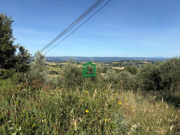 appartamento in vendita ad Amelia