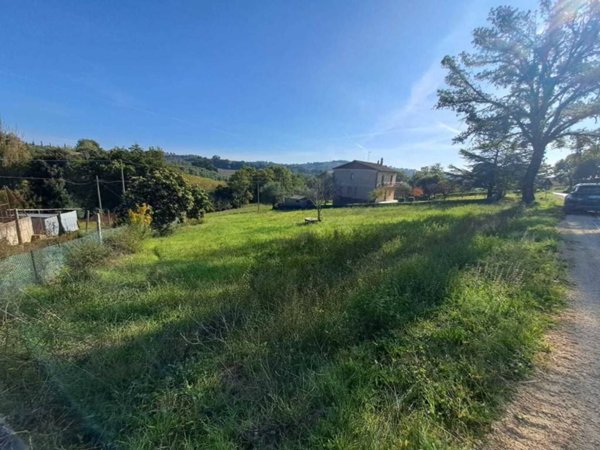 terreno agricolo in vendita ad Amelia