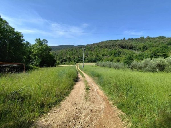 terreno agricolo in vendita ad Amelia
