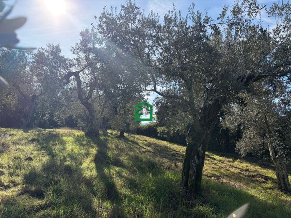 terreno edificabile in vendita ad Amelia