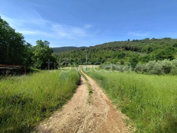 terreno agricolo in vendita ad Amelia