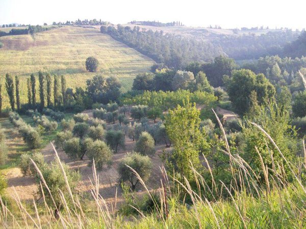 appartamento in vendita ad Amelia