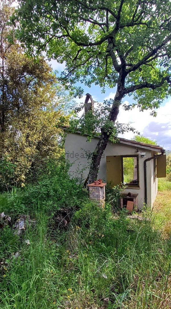 appartamento in vendita ad Amelia