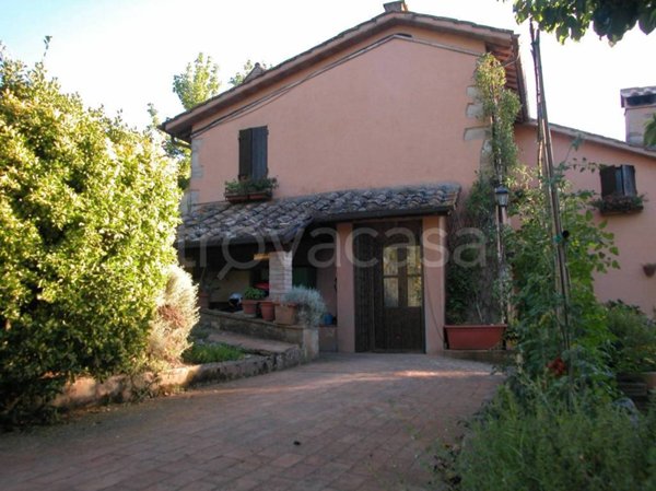 casa indipendente in vendita ad Amelia
