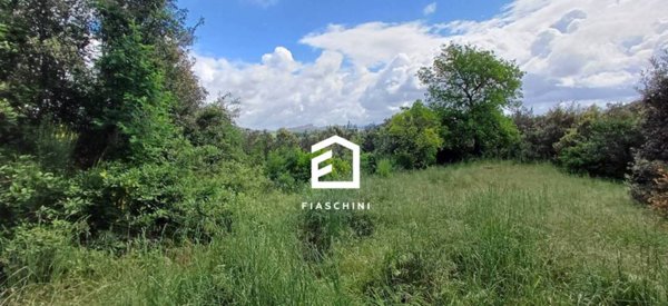 casa indipendente in vendita ad Amelia