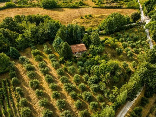 appartamento in vendita ad Amelia