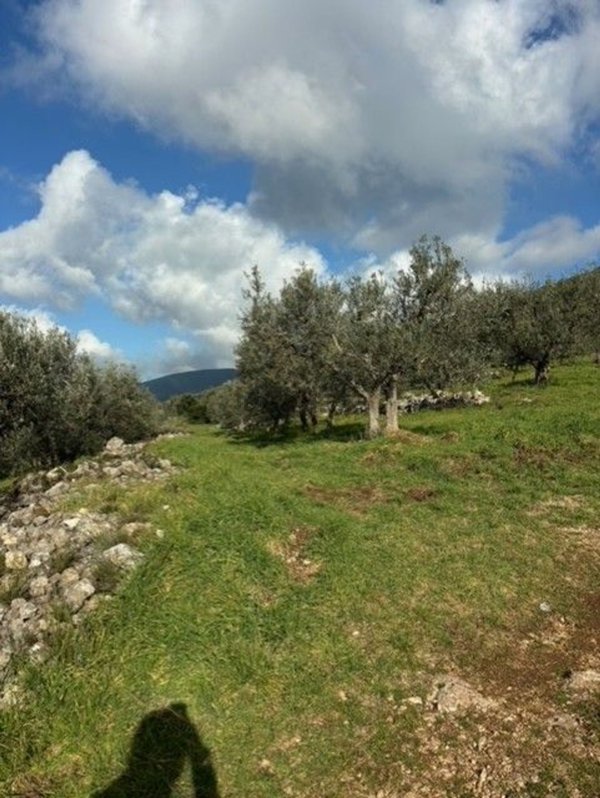 terreno in vendita ad Amelia