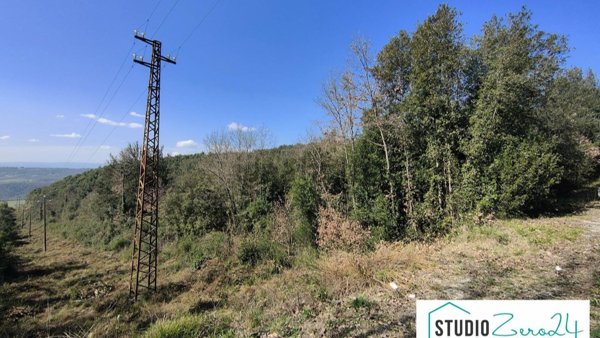 terreno in vendita ad Amelia