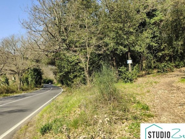 terreno agricolo in vendita ad Amelia