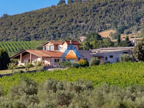 casa indipendente in vendita ad Amelia