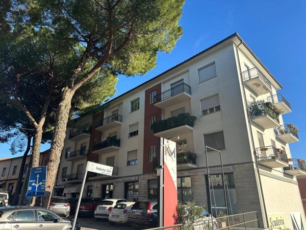 appartamento in vendita ad Amelia