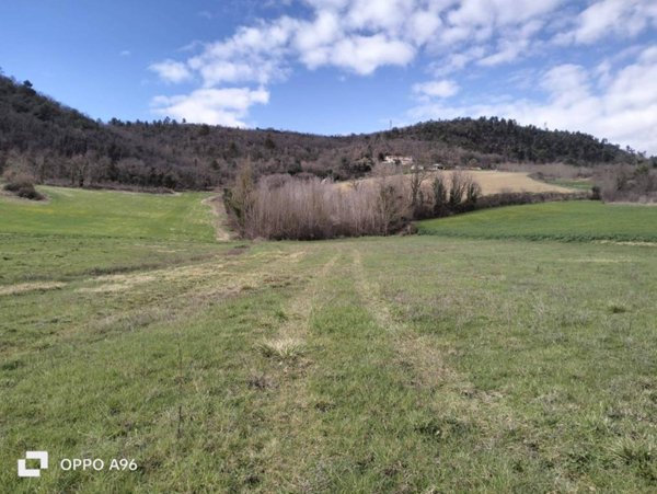 terreno agricolo in vendita ad Arrone