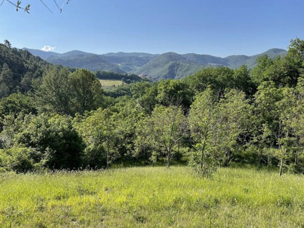 terreno agricolo in vendita ad Arrone