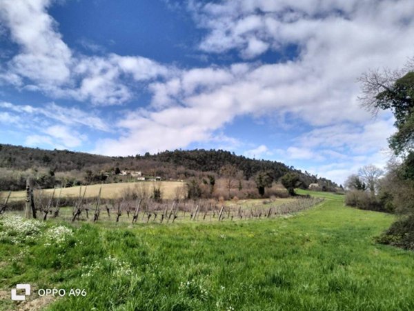 terreno agricolo in vendita ad Arrone