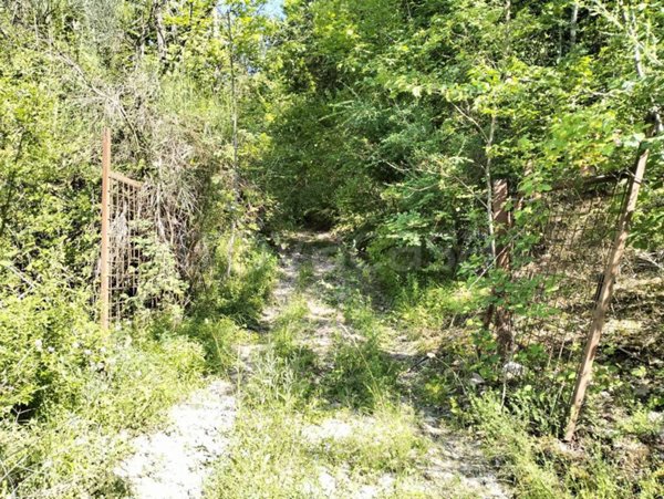 terreno agricolo in vendita ad Arrone in zona Rosciano