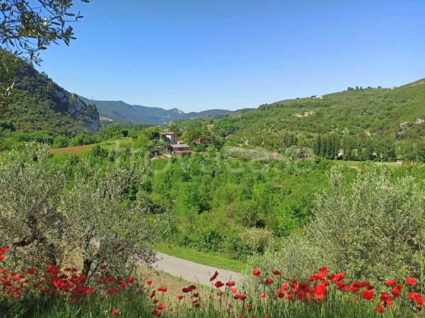 terreno agricolo in vendita ad Arrone