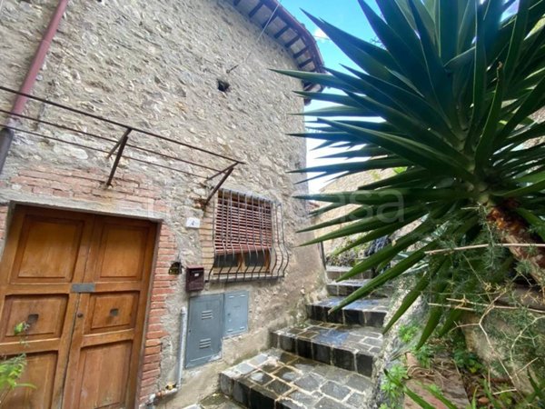 appartamento in vendita ad Arrone in zona Casteldilago