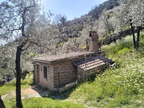 terreno agricolo in vendita ad Arrone in zona Rosciano