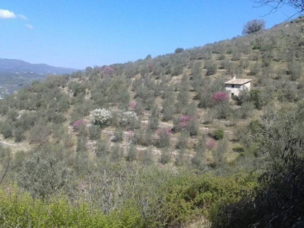 casa semindipendente in vendita ad Arrone in zona Tripozzo