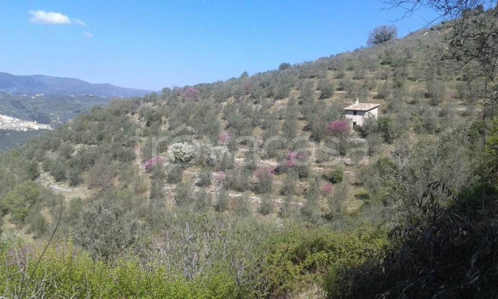appartamento in vendita ad Arrone