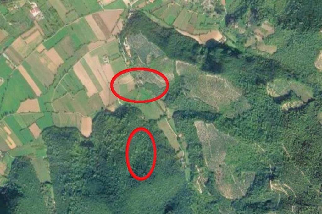 locale commerciale in vendita ad Arrone