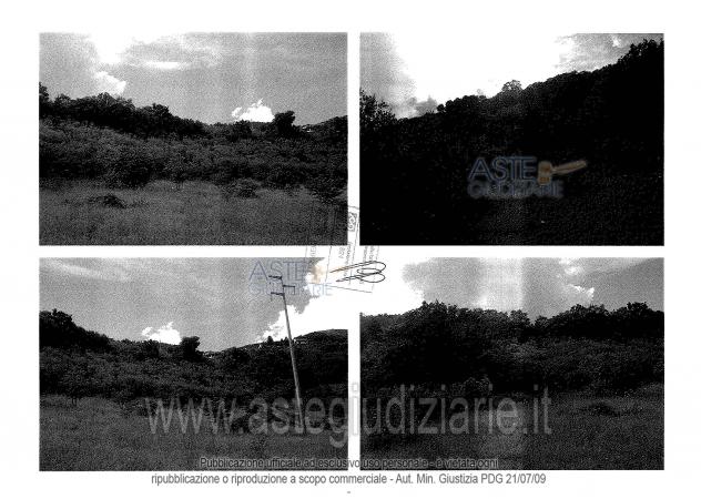 terreno agricolo in vendita ad Arrone