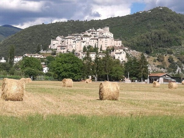 casa indipendente in vendita ad Arrone in zona Casteldilago