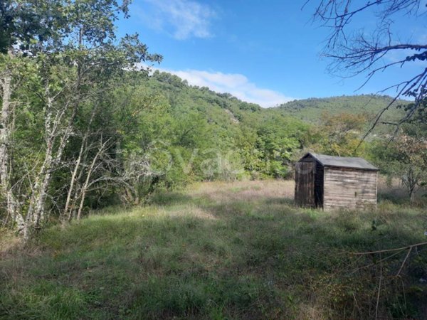 terreno agricolo in vendita ad Arrone in zona Colle Sant'Angelo