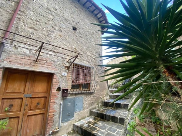 appartamento in vendita ad Arrone in zona Casteldilago