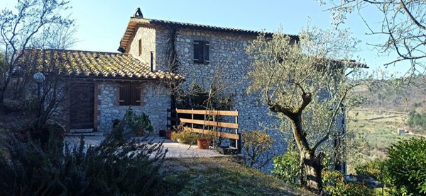 casa indipendente in vendita ad Arrone in zona Castiglioni