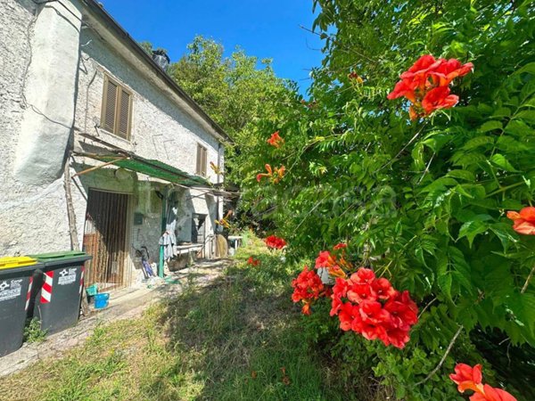 casa indipendente in vendita ad Arrone in zona Casteldilago