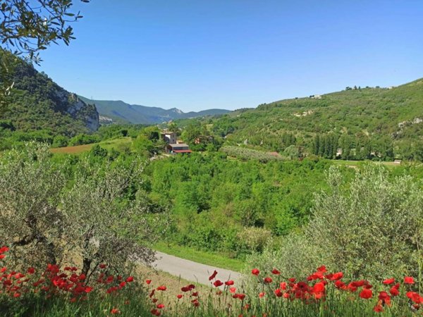 terreno agricolo in vendita ad Arrone in zona Palombare