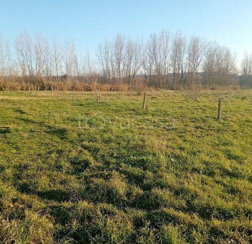 terreno agricolo in vendita ad Attigliano