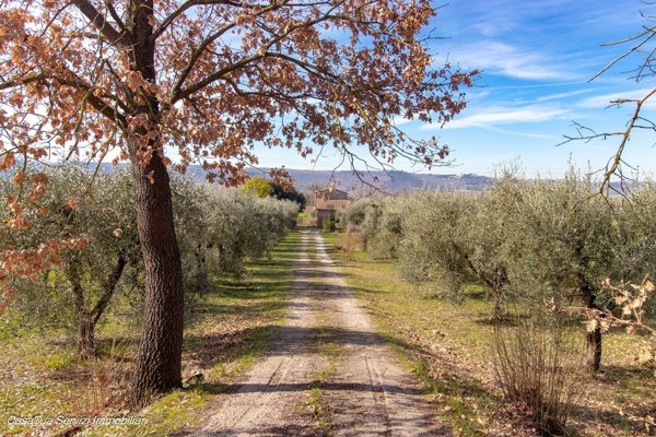 appartamento in vendita ad Attigliano