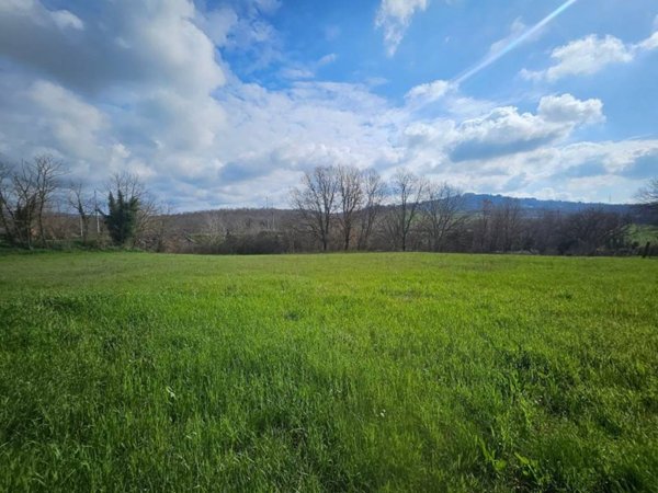 terreno agricolo in vendita ad Attigliano