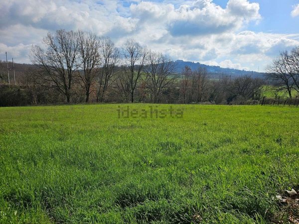 terreno edificabile in vendita ad Attigliano