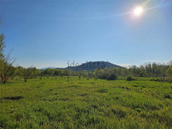 terreno agricolo in vendita ad Attigliano