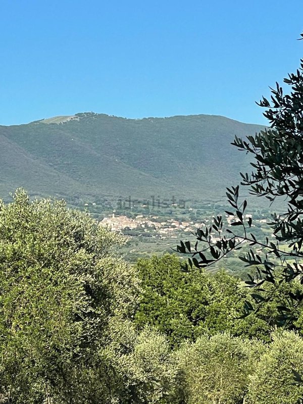 casa indipendente in vendita a Baschi
