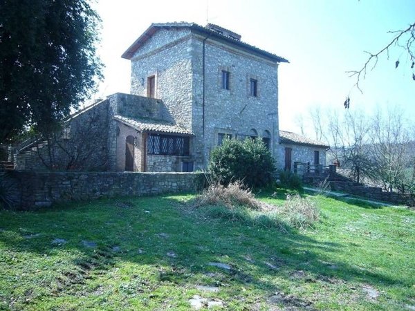 azienda agricola in vendita a Baschi