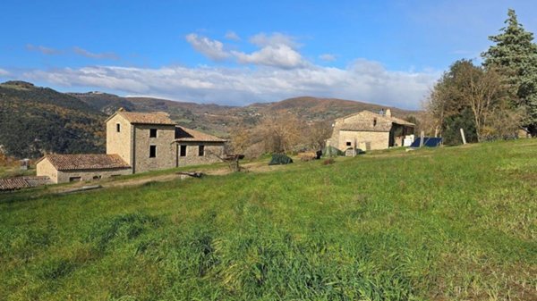 azienda agricola in vendita a Baschi