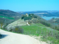 casa indipendente in vendita a Baschi