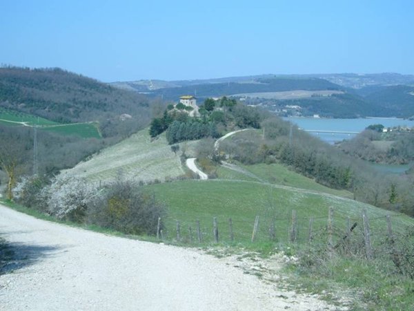azienda agricola in vendita a Baschi